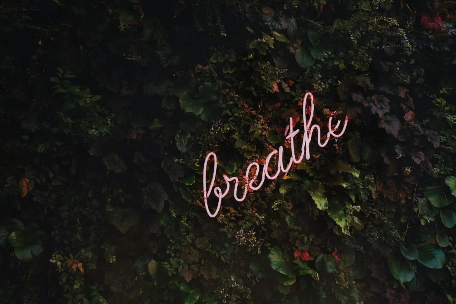 'Breathe' sing. We have to always remind ourselves to be patient and kind with others. We never know what they've been through.