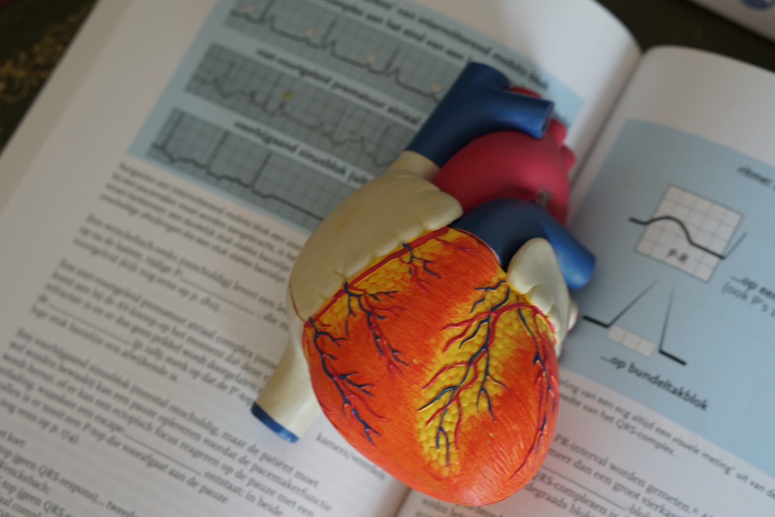 Heart on text book. xxxx applied her theoretical knowledge to her practicum site in her first on hands experience as a cardiologist.